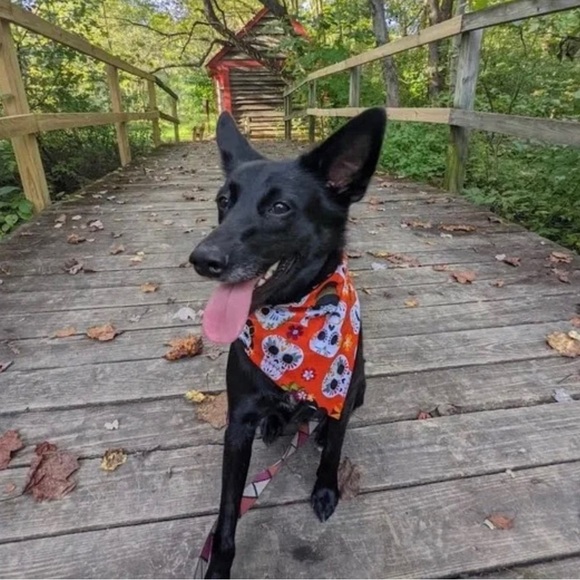 New Red Buffalo Plaid Handmade Reversible Over Collar Dog Bandana XS SM M La… - Picture 5 of 7